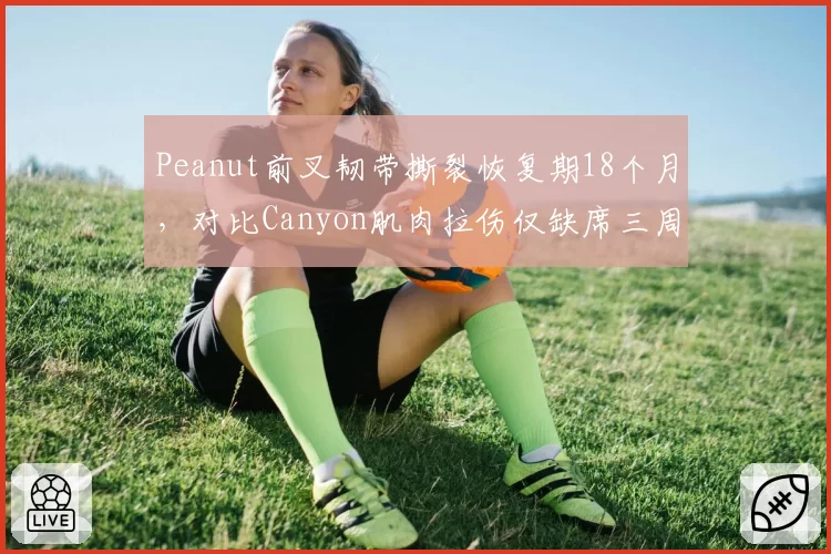 Peanut前叉韧带撕裂恢复期18个月，对比Canyon肌肉拉伤仅缺席三周