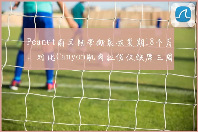 Peanut前叉韧带撕裂恢复期18个月，对比Canyon肌肉拉伤仅缺席三周